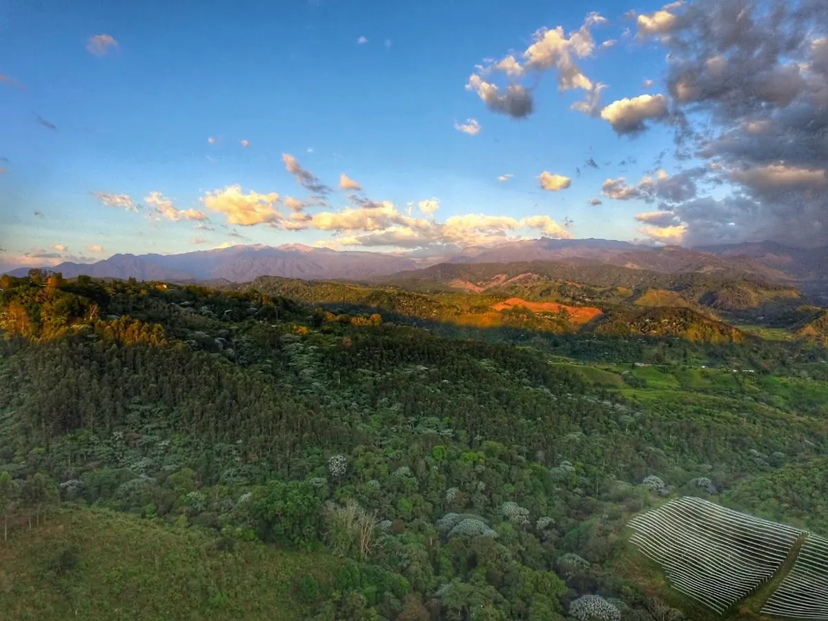 Paisaje cafetero sobre la ruta del Teleférico de Salento